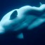 Белуха - полярный дельфин. Настоящие "русалки"