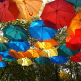 Аллея зонтиков. Солнце на деревьях