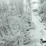 21. Снегопад